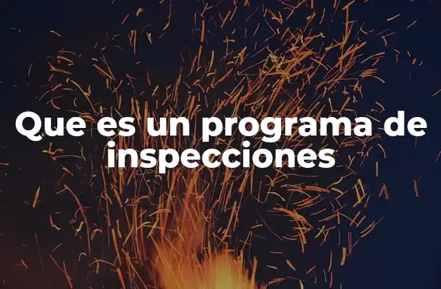 Que es un Programa de Inspecciones