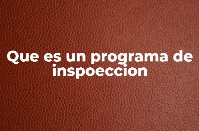 La importancia de los programas de inspección en la gestión de riesgos