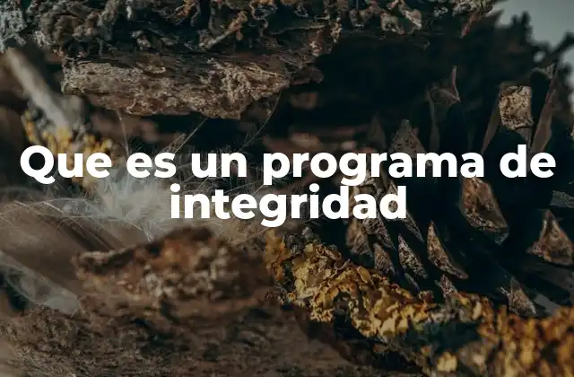 Que es un Programa de Integridad