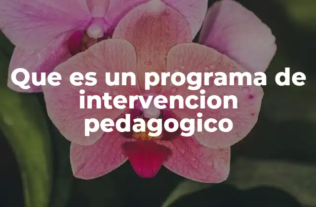 Que es un Programa de Intervencion Pedagogico