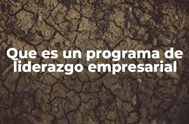 Que es un Programa de Liderazgo Empresarial