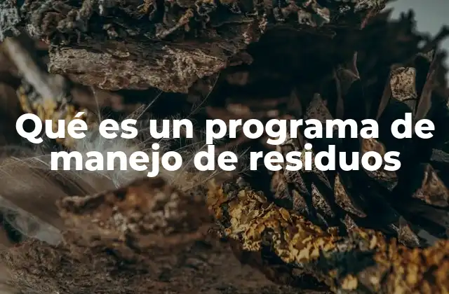 Qué es un Programa de Manejo de Residuos 2 Cómo se estructura un sistema eficiente de gestión de residuos