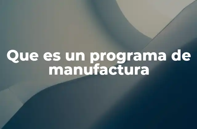 Que es un Programa de Manufactura