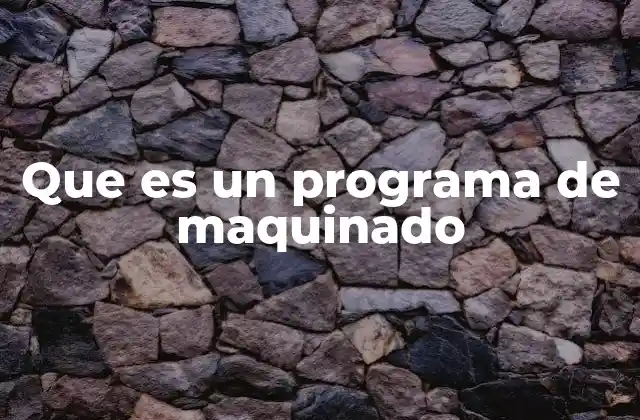 Que es un Programa de Maquinado