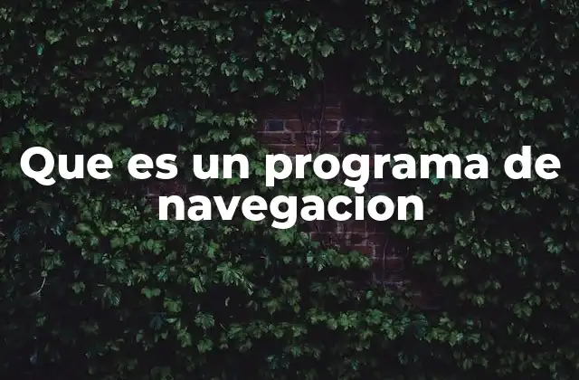 Que es un Programa de Navegacion