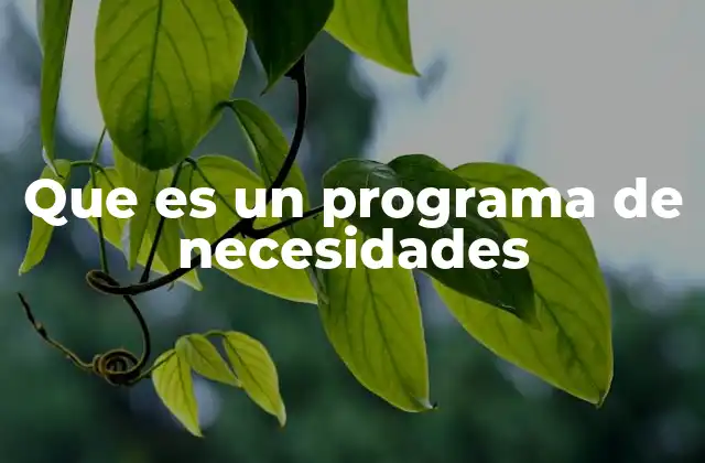 Que es un Programa de Necesidades