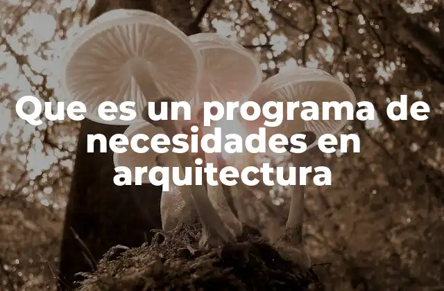 Que es un Programa de Necesidades en Arquitectura