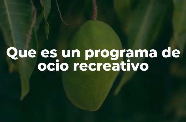 Que es un Programa de Ocio Recreativo