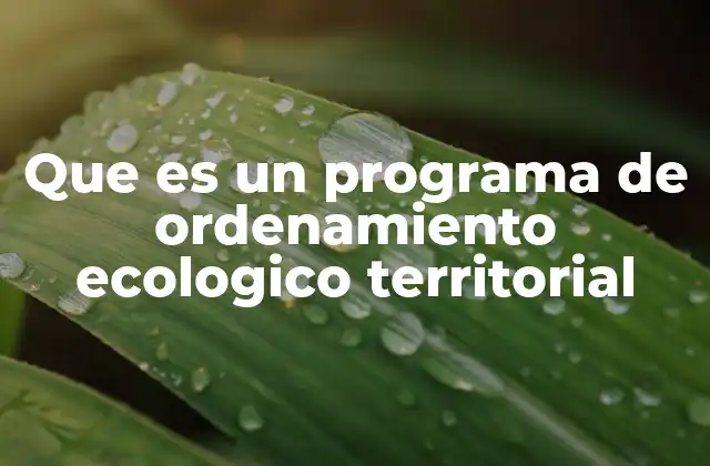 La importancia de la planificación territorial desde una perspectiva ambiental