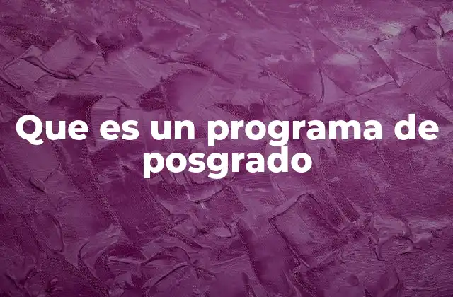 Que es un Programa de Posgrado