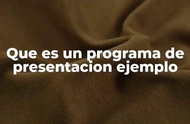 Que es un Programa de Presentacion Ejemplo