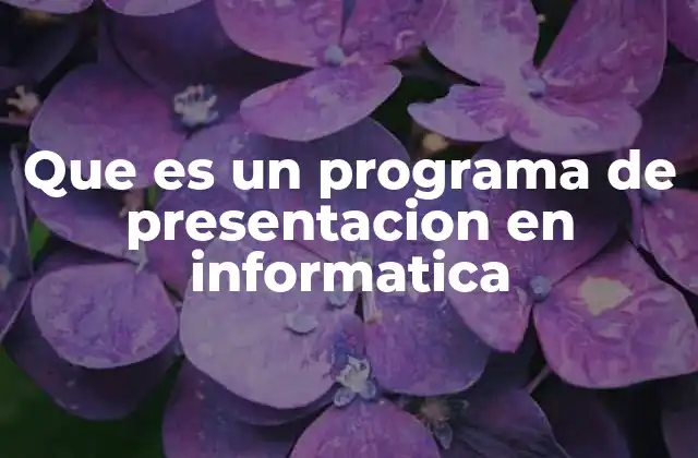 Que es un Programa de Presentacion en Informatica 2 La importancia de las herramientas visuales en la comunicación digital