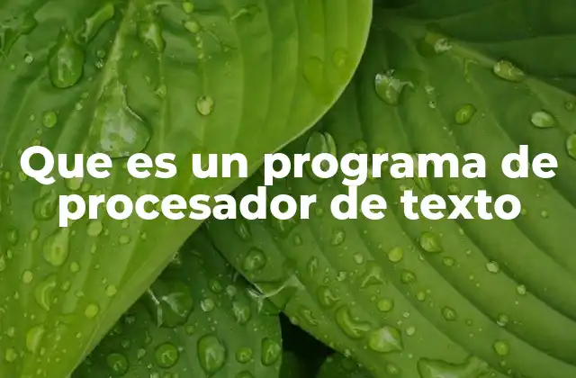 Que es un Programa de Procesador de Texto