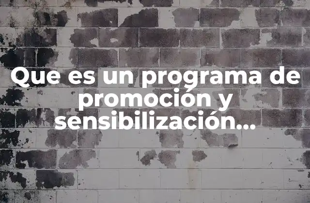 Que es un Programa de Promoción y Sensibilización Definicion