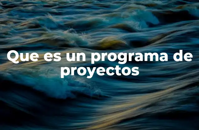 Que es un Programa de Proyectos