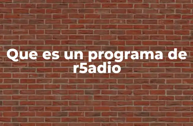 Que es un Programa de R5adio