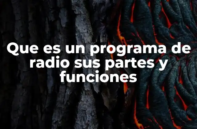 Que es un Programa de Radio Sus Partes y Funciones
