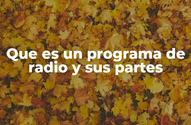 Que es un Programa de Radio y Sus Partes