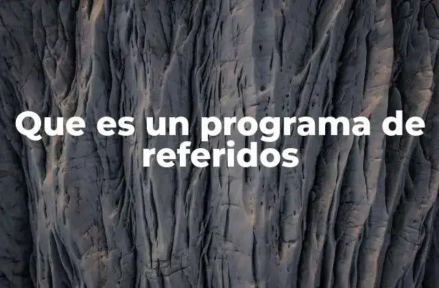 Que es un Programa de Referidos