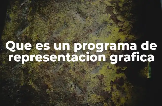 Que es un Programa de Representacion Grafica