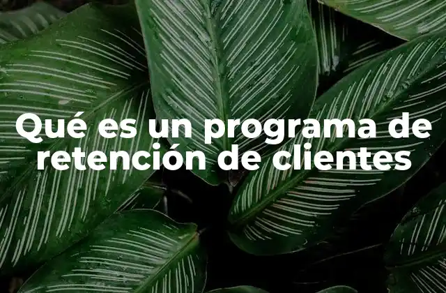 Qué es un Programa de Retención de Clientes