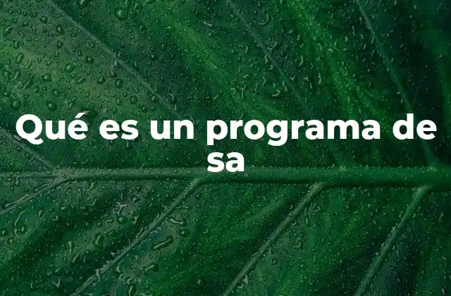 Qué es un Programa de Sa
