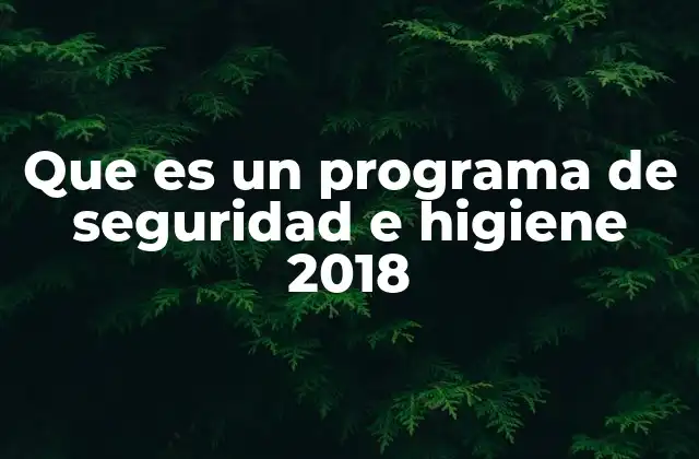 Que es un Programa de Seguridad e Higiene 2018