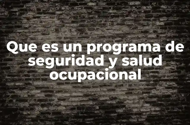 Que es un Programa de Seguridad y Salud Ocupacional