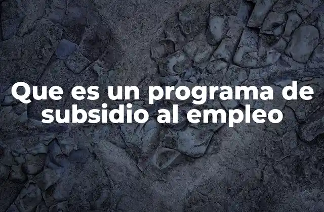 Que es un Programa de Subsidio Al Empleo