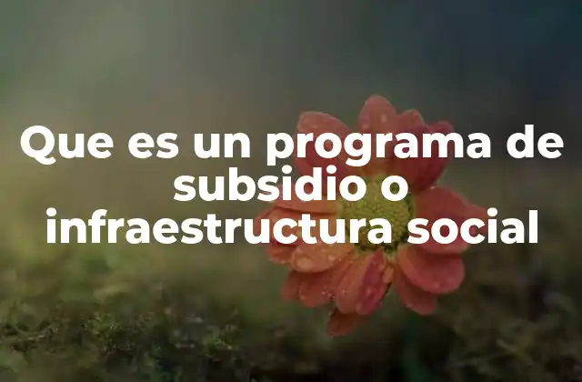 Que es un Programa de Subsidio o Infraestructura Social
