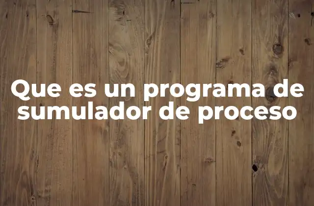 Que es un Programa de Sumulador de Proceso 2 La importancia de los simuladores en la toma de decisiones