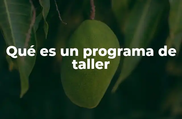 Qué es un Programa de Taller