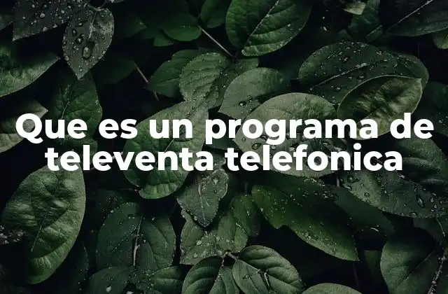 Que es un Programa de Televenta Telefonica