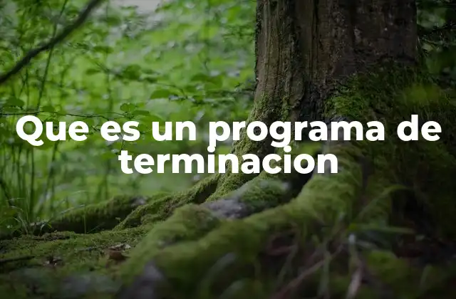 Que es un Programa de Terminacion