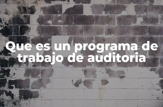 Que es un Programa de Trabajo de Auditoria