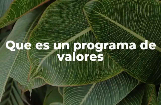 Que es un Programa de Valores
