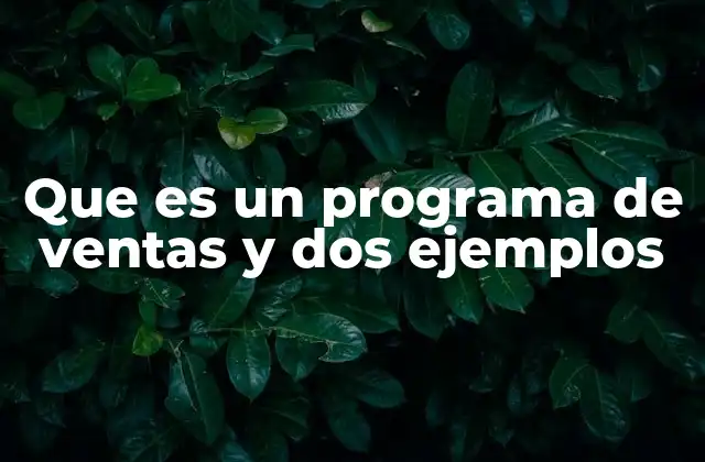 Que es un Programa de Ventas y Dos Ejemplos