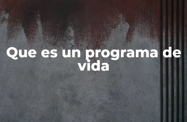 Que es un Programa de Vida