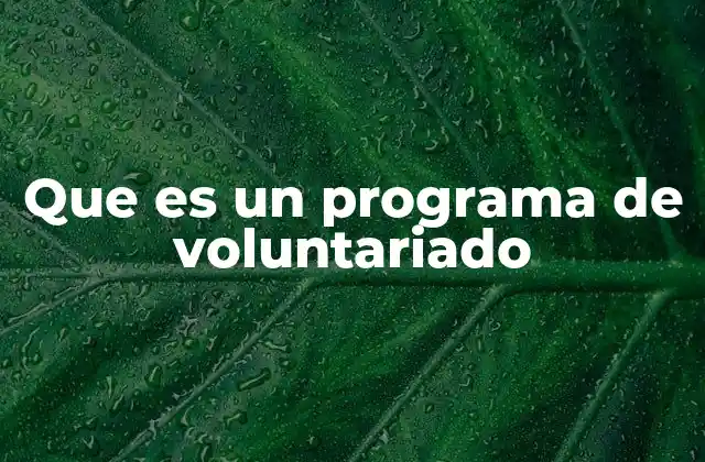 Que es un Programa de Voluntariado