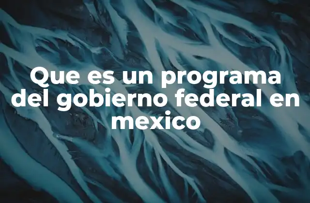 Que es un Programa Del Gobierno Federal en Mexico 2 El rol de los programas federales en el desarrollo nacional