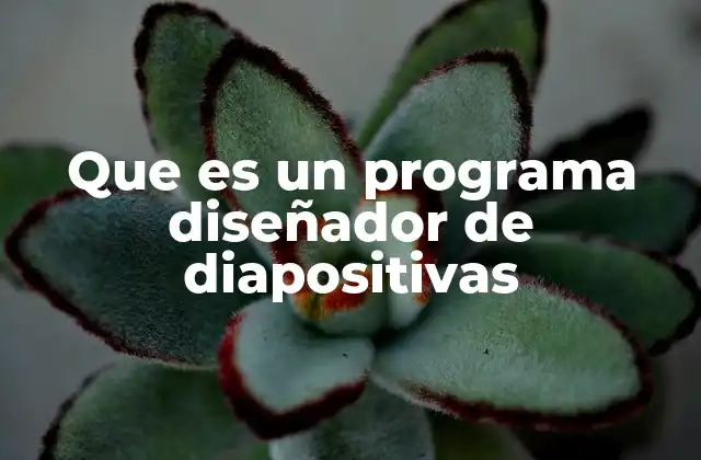 Que es un Programa Diseñador de Diapositivas