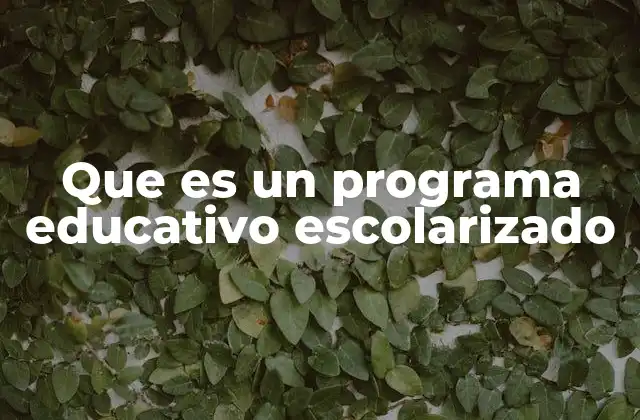 Que es un Programa Educativo Escolarizado