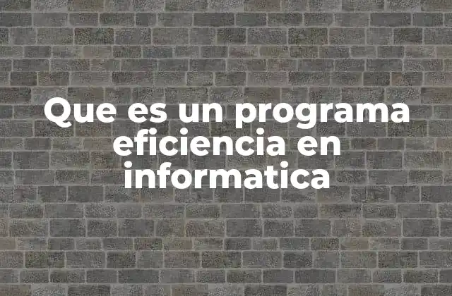 Que es un Programa Eficiencia en Informatica