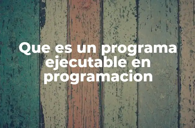 Que es un Programa Ejecutable en Programacion