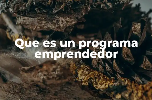 Que es un Programa Emprendedor