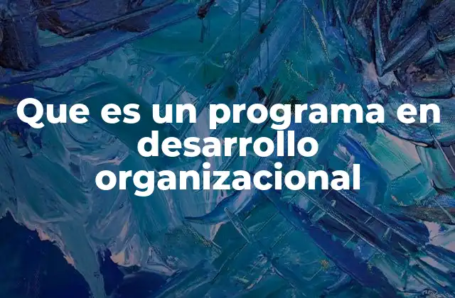 Que es un Programa en Desarrollo Organizacional