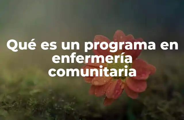 Qué es un Programa en Enfermería Comunitaria
