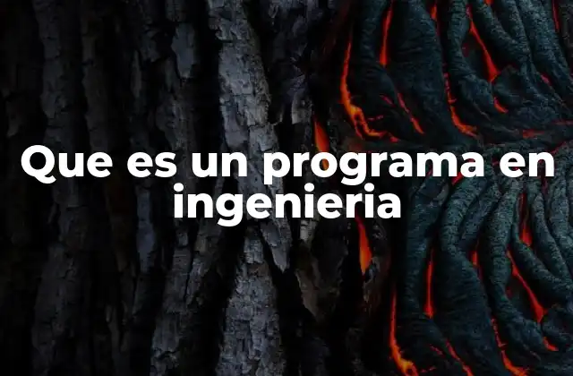 Que es un Programa en Ingenieria