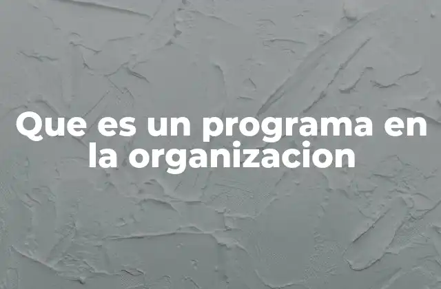 Que es un Programa en la Organizacion