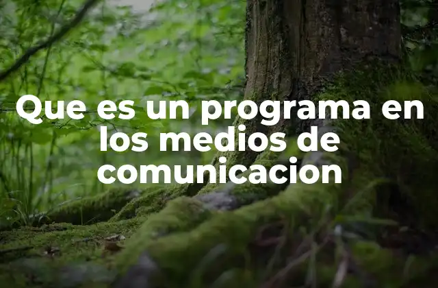 Que es un Programa en los Medios de Comunicacion
